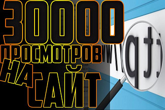 30000 Посещений вашего сайта