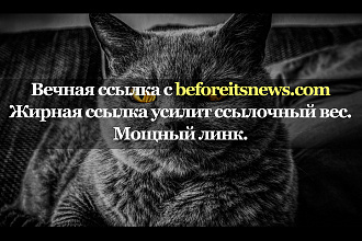Качественная ссылка с сайта beforeitsnews.com