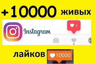 10000 лайков instagram. Реальные аккаунты