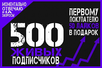 500 Живых подписчиков