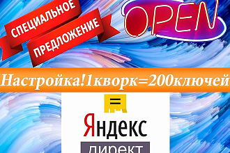 Настройка Яндекс Директ Эффективно и выгодно. Закажи услуга