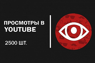 2500 просмотров Youtube с гарантией 100% на ваше видео