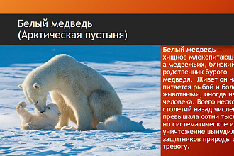 Делаю презентации