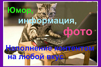 Наполнение контентом