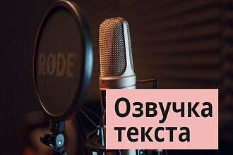 Озвучу ваш текст любого формата. Мужской, женский дикторы