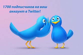1700 подписчиков на ваш аккаунт в Twitter