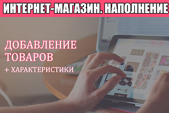 Наполнение интернет-магазина товарами