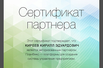 Консультации по работе с ПланФикс