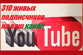 310 подписчиков на ваш канал Youtube
