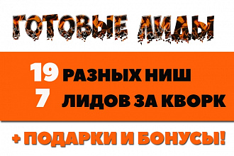 Лидогенерация в 19 ниш