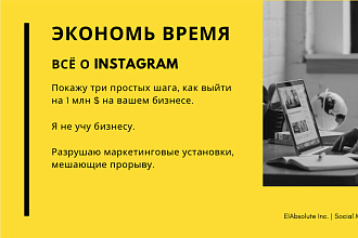 Консультация в Skype по продвижению вашего бизнеса в Instagram