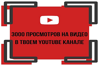 3000 просмотров на видео в твоем YouTube канале
