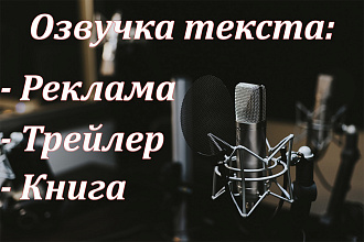 Озвучка материала профессиональным голосом