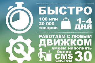 Наполнение интернет-магазина