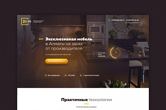 Профессиональный дизайн сайтов. 2 блока в одном услуге