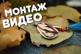Смонтирую видео, сделаю киношную цветокоррекцию, подберу трек