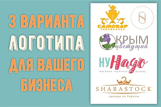 3 варианта логотипа. Качественно