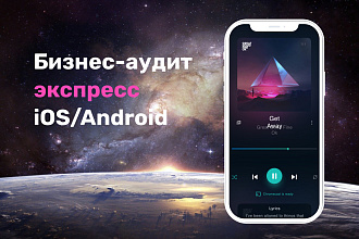 Бизнес-аудит юзабилити мобильного приложения. Экспресс