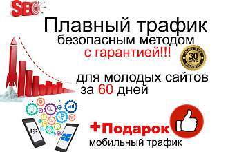 90-100 посетителей ежедневно, в течении 60 дней. Плавный график