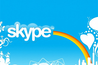 Seo -консультация по Skype