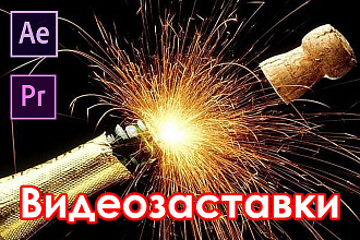Сделаю видеозаставку с вашими данными