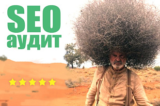 Сделаю SEO-аудит сайта