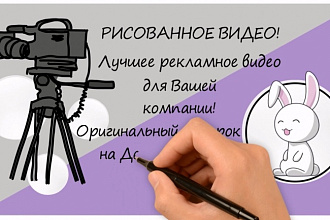 Создам недорогое и качественное Doodle видео - рисованный видеоролик