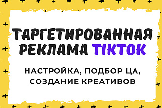 Настрою таргетированную рекламу в TikTok