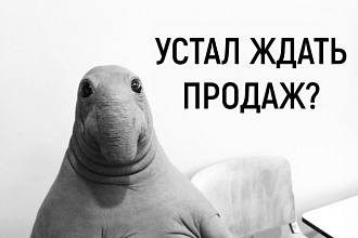Настрою рекламу в РСЯ, Яндекс Директ, Google Adwords