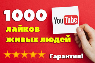 1000 лайков на видео Youtube от живых людей