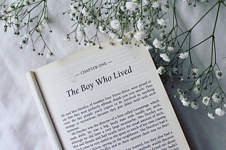 Напишу главу книги