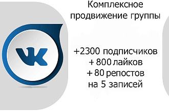 Комплексное продвижение группы Вконтакте