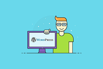 Консультации по Wordpress. Наполнение, развитие сайта, SEO