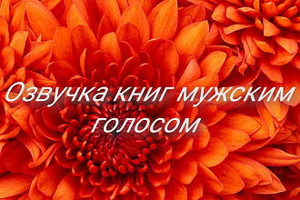 Озвучка книг мужским голосом
