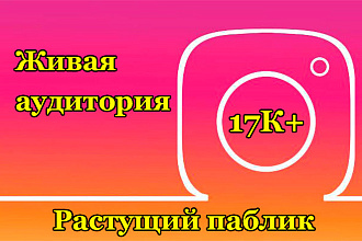 Публикация в Instagram, 17К подписчиков