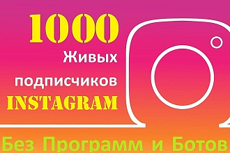 Раскрутка Инстаграма. Добавлю 1000 подписчиков