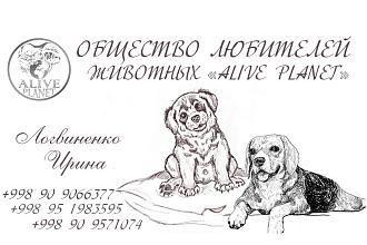 Дизайн визиток