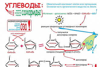 Отредактирую ваш текст