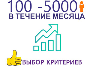 Качественные заходы от 100 до 5 000 в сутки на выбор весь месяц
