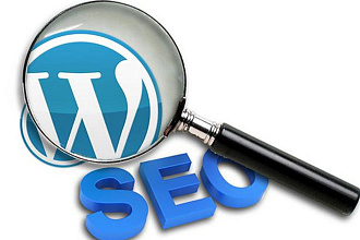 Сделаю внутреннюю SEO оптимизацию сайта на Wordpress