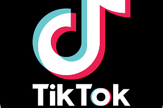 Раскрутка подписчиков и просмотров на видео в TikTok. Пруфы дам