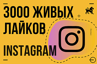 3000 лайков на Ваши публикации в Инстаграм. Вывод в ТОП по хэштегам