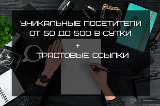 Увеличу количество уникальных посетителей от 50 до 500 в сутки + Бонус