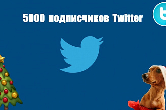 Twitter подписчики 5000