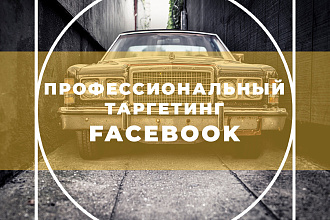 Профессиональная настройка таргетированной рекламы в Facebook + бонус