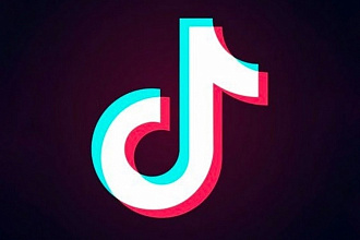 Ведение Tik Tok