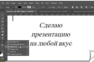 Сделаю презентацию на любой вкус