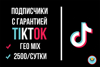 Подписчики TikTok 3000