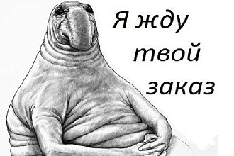 Соберу ядро сайта СЯ, подскажу по оптимизации сайта, настройке директа