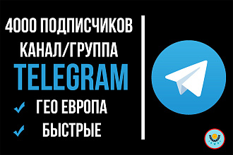 Качественные подписчики 4000
